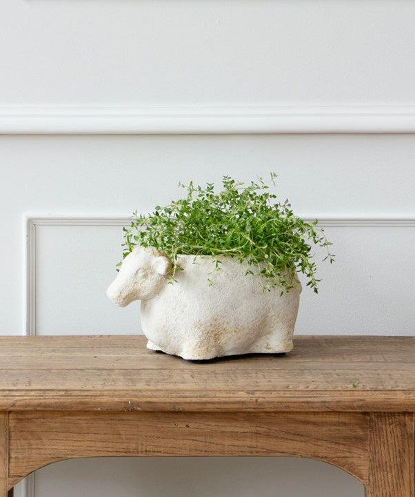 Sheep Planter